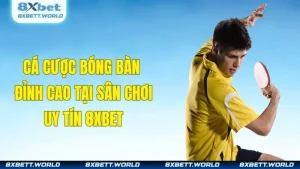 Cá Cược Bóng Bàn Đỉnh Cao Tại Sân Chơi Uy Tín 8XBET