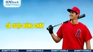 Bí Thuật Nắm Thóp Trò Cá Cược Bóng Chày Trực Tuyến 2025